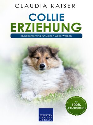 cover image of Collie Erziehung